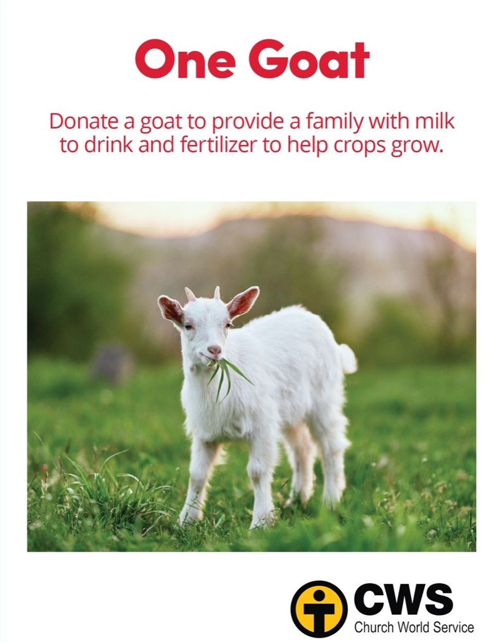 Donate a goat