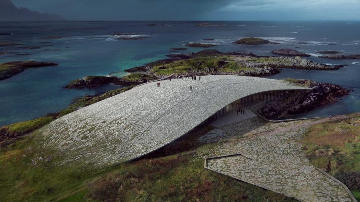 dorte mandrup the whale