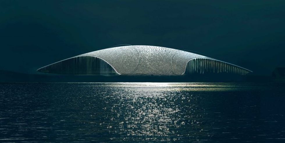 dorte mandrup the whale