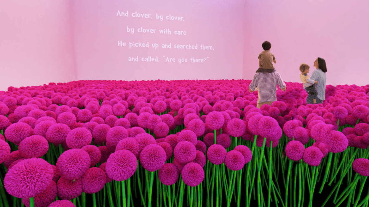 dr seuss experience