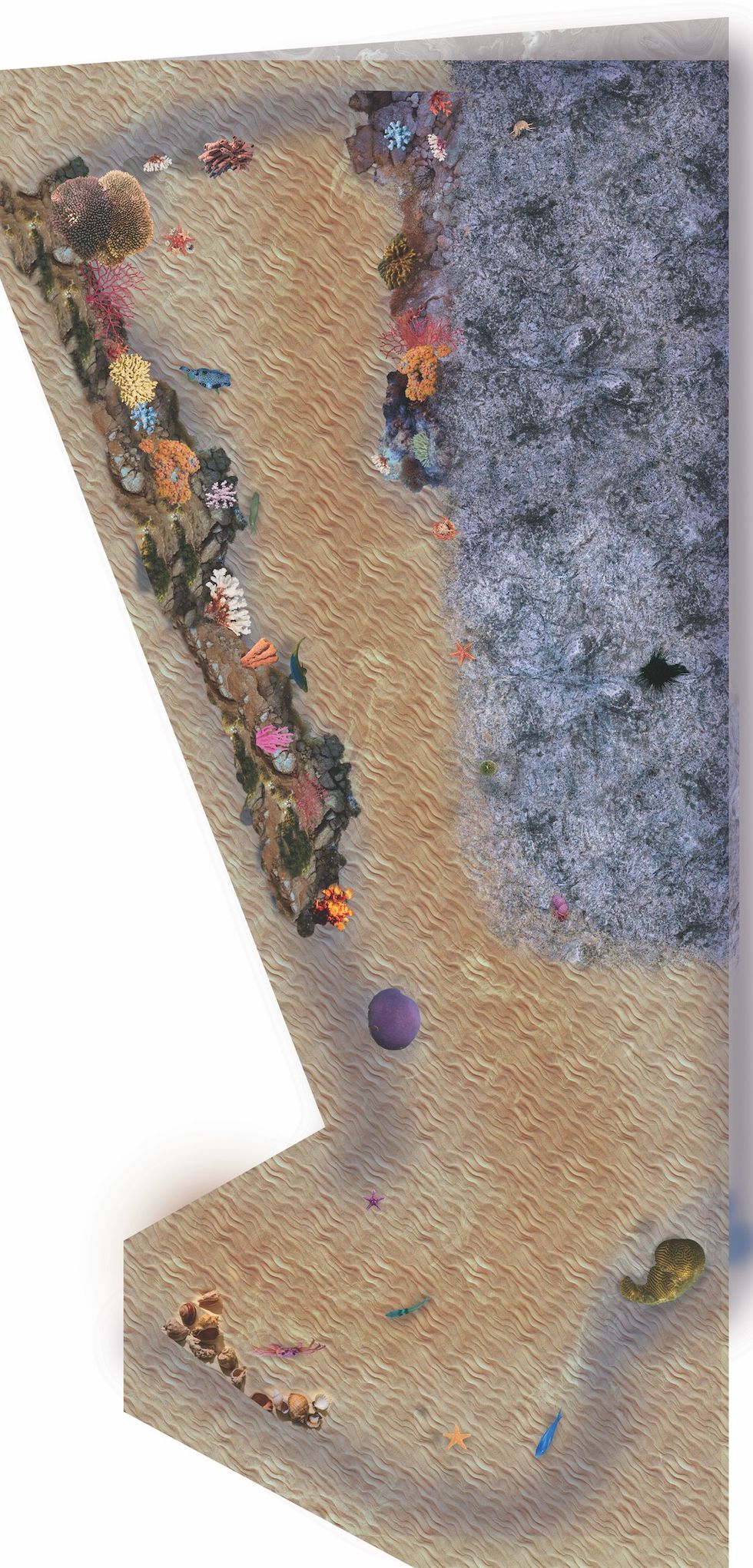 Draft of the floor Sea Life