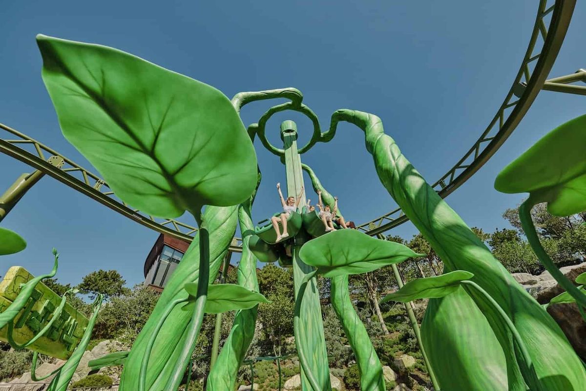 Dreamwood theme park Mriya resort freefall tower with leaves
