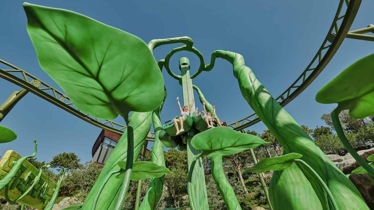 Dreamwood theme park Mriya resort freefall tower with leaves