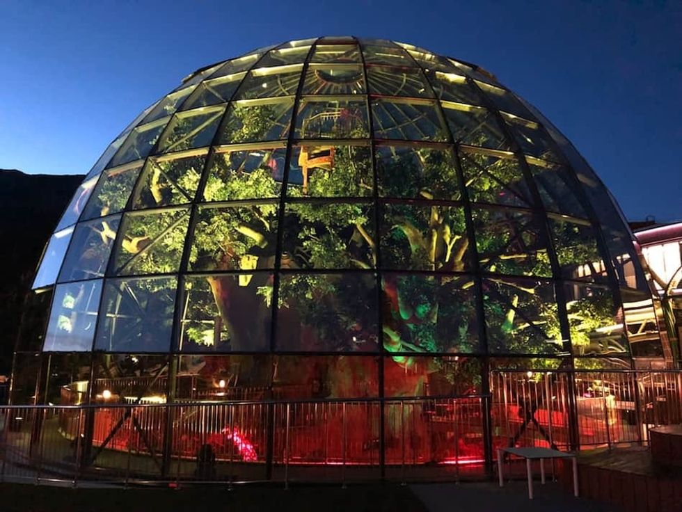 Dreamwood theme park Mriya resort tree in dome