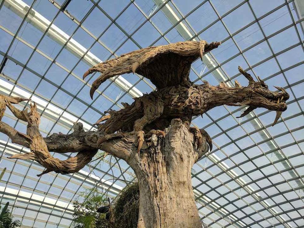 driftwood dragon at gardens by the bay singapore