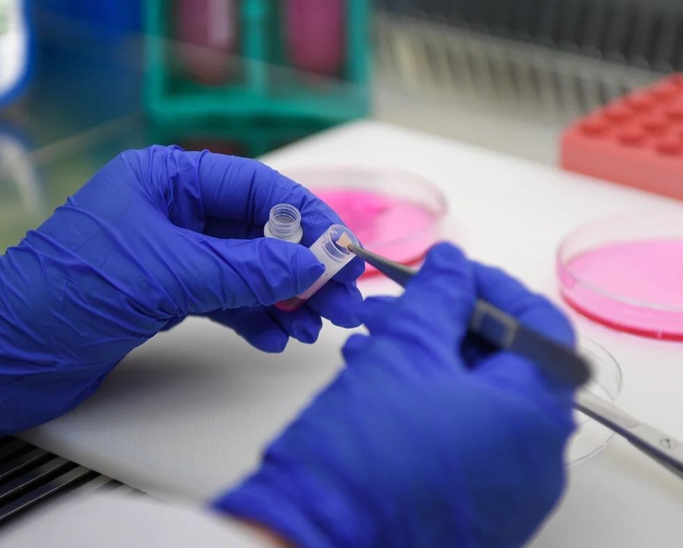 drusillas park binturong conservation