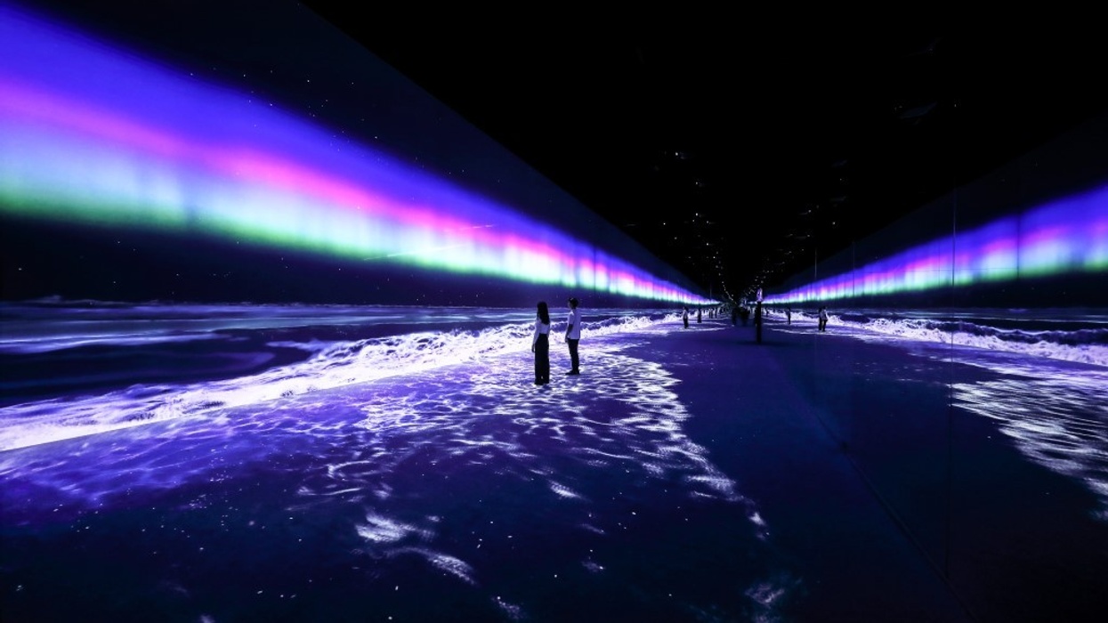 d’strict ARTE MUSEUM LAS VEGAS immersive exhibit