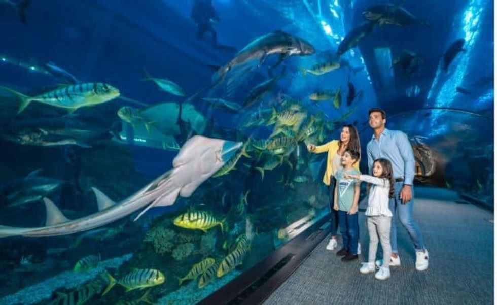 Dubai Aquarium Emaar Entertainment