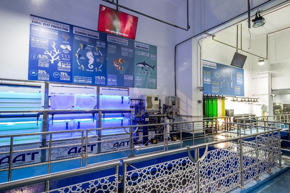 dubai-aquarium-underwater-zoo-back-of-house-final