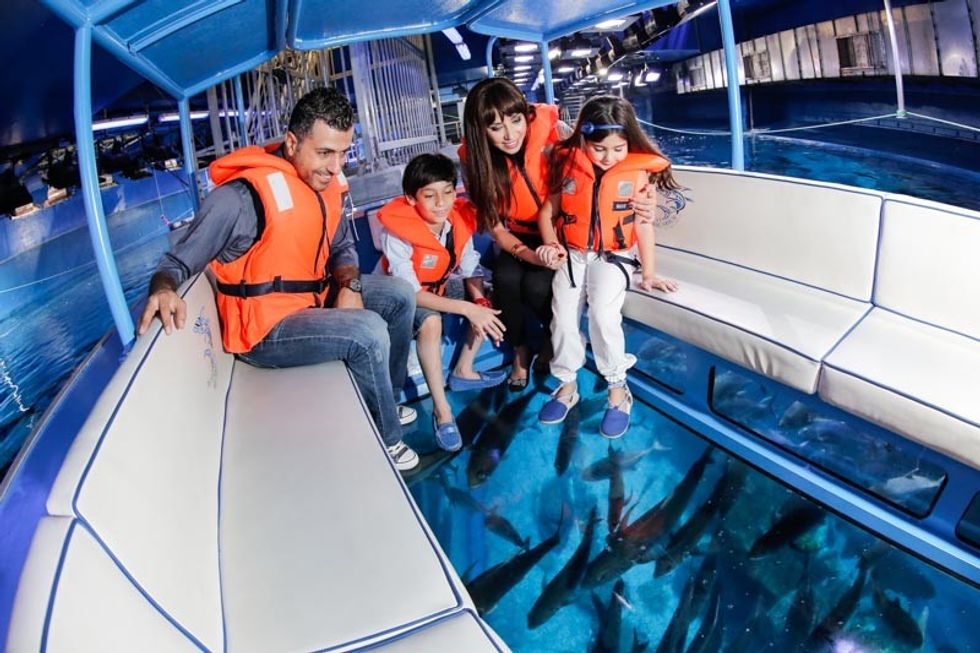 dubai-aquarium-underwater-zoo-glass-bottom-boat