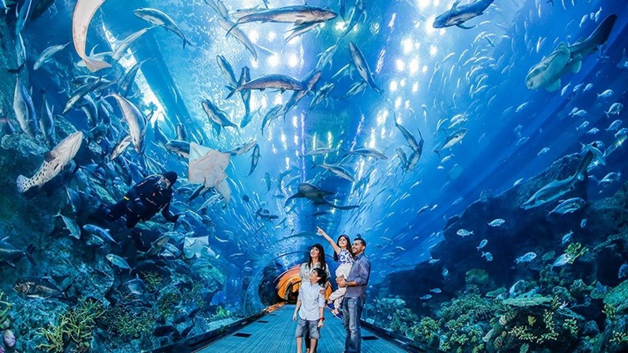 dubai aquarium