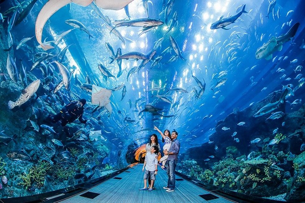 dubai aquarium