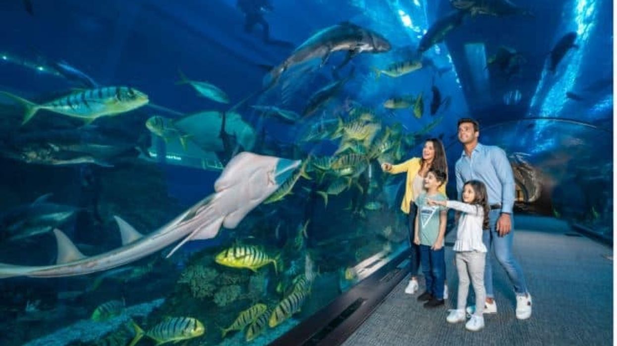 Dubai Aquarium