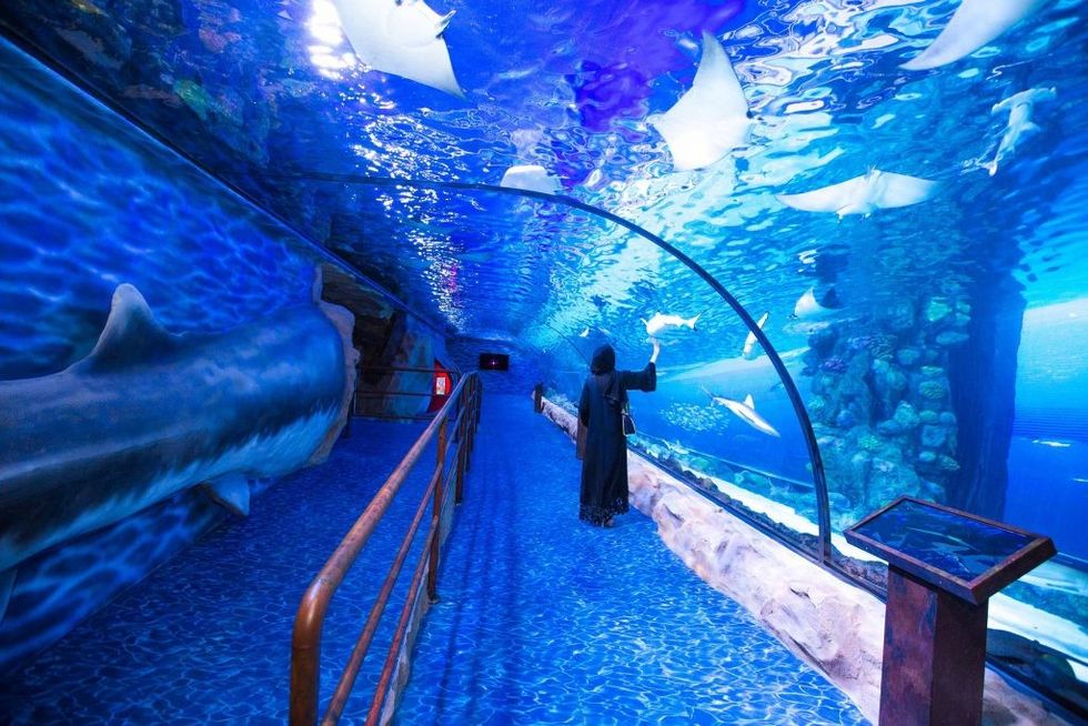 dubai aquarium