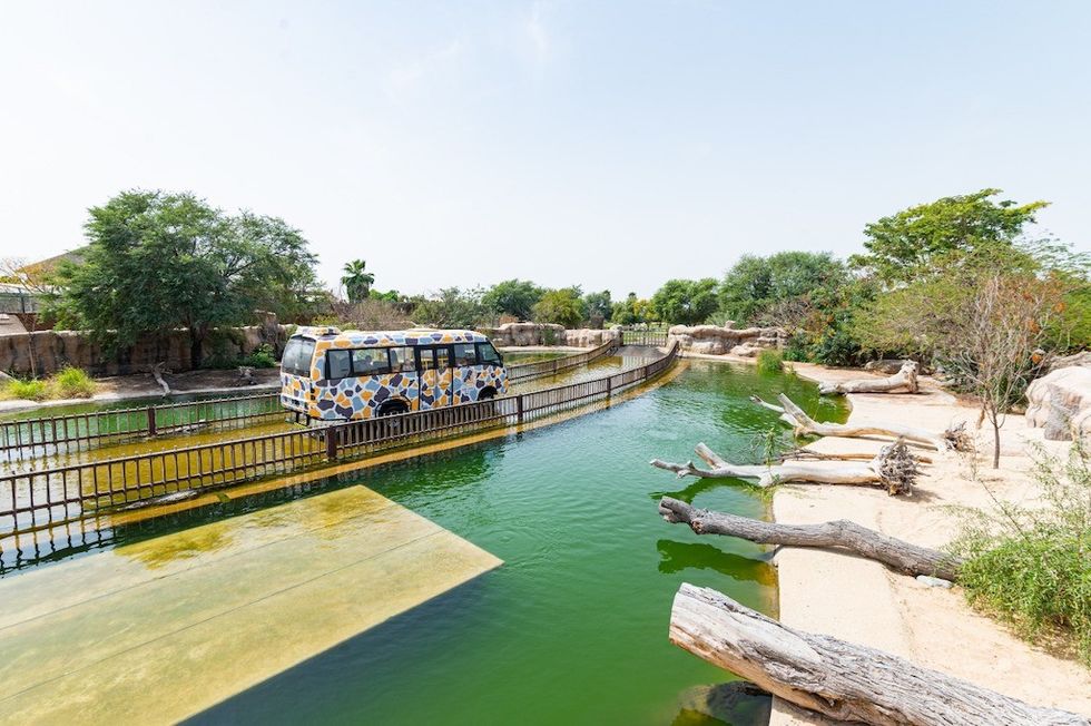 Dubai Safari Park