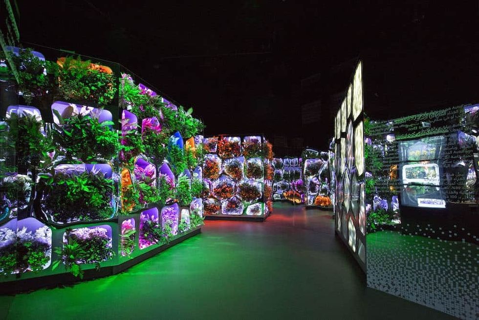 Dubai’s Museum of the Future: Lath Carlson on technology, climate change and neutrality