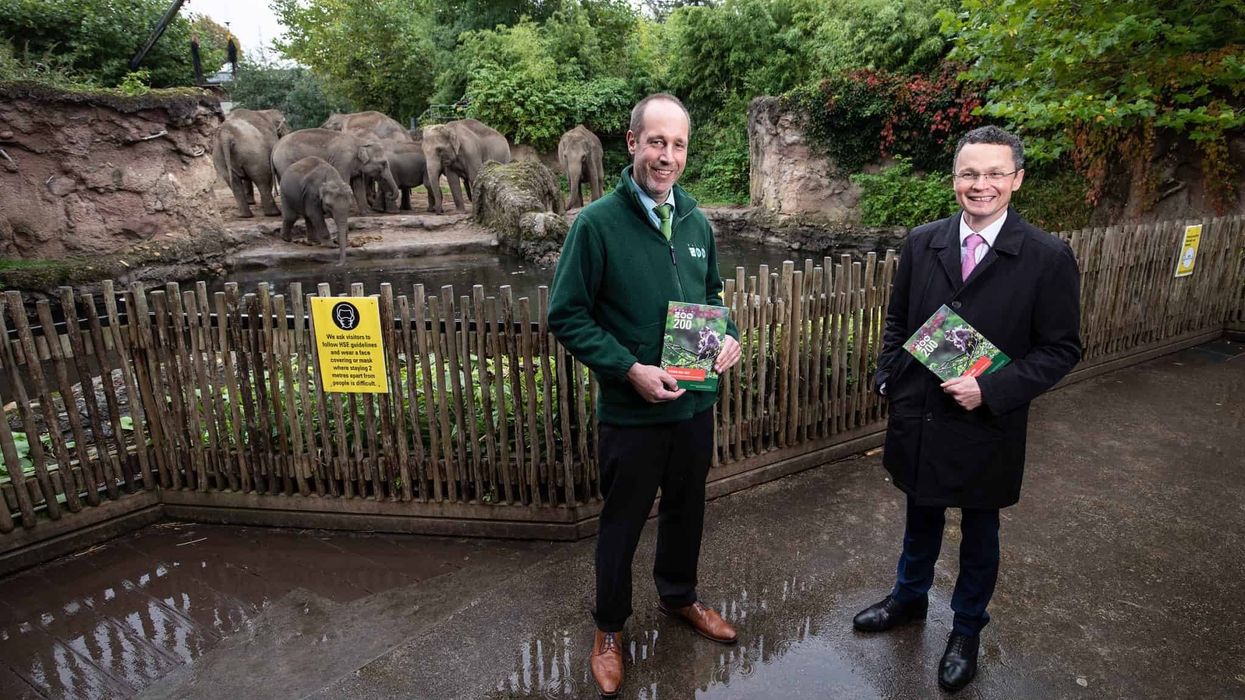 dublin zoo conservation plan