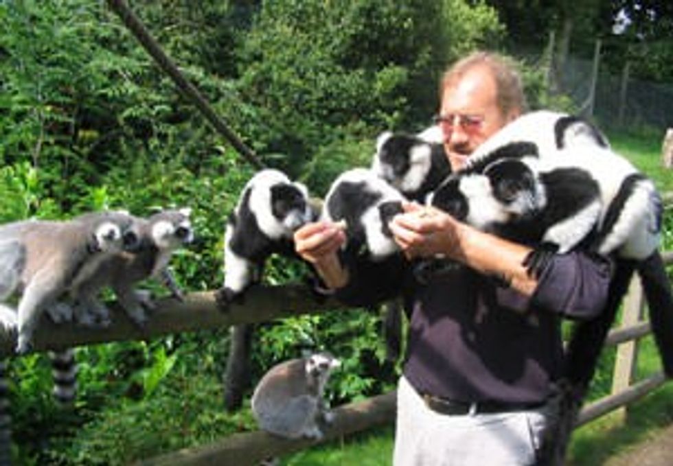 Dudley Zoo Lemur Walk