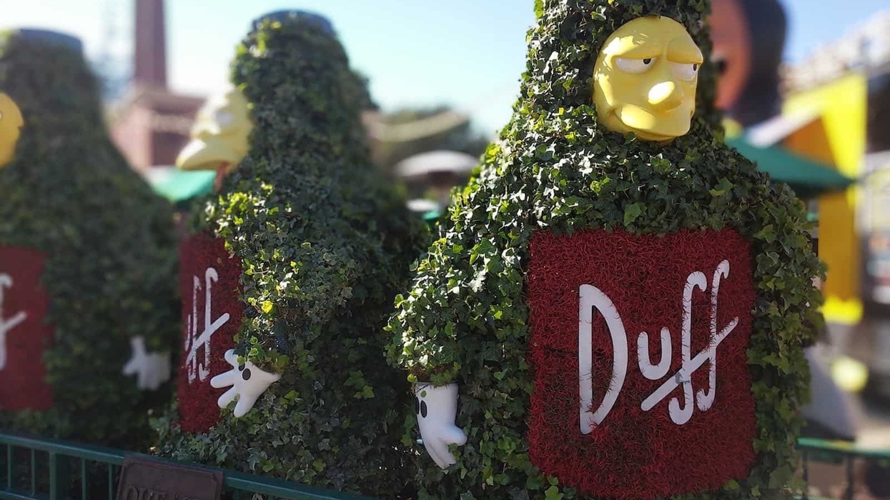 duff simpsons universal studios hollywood
