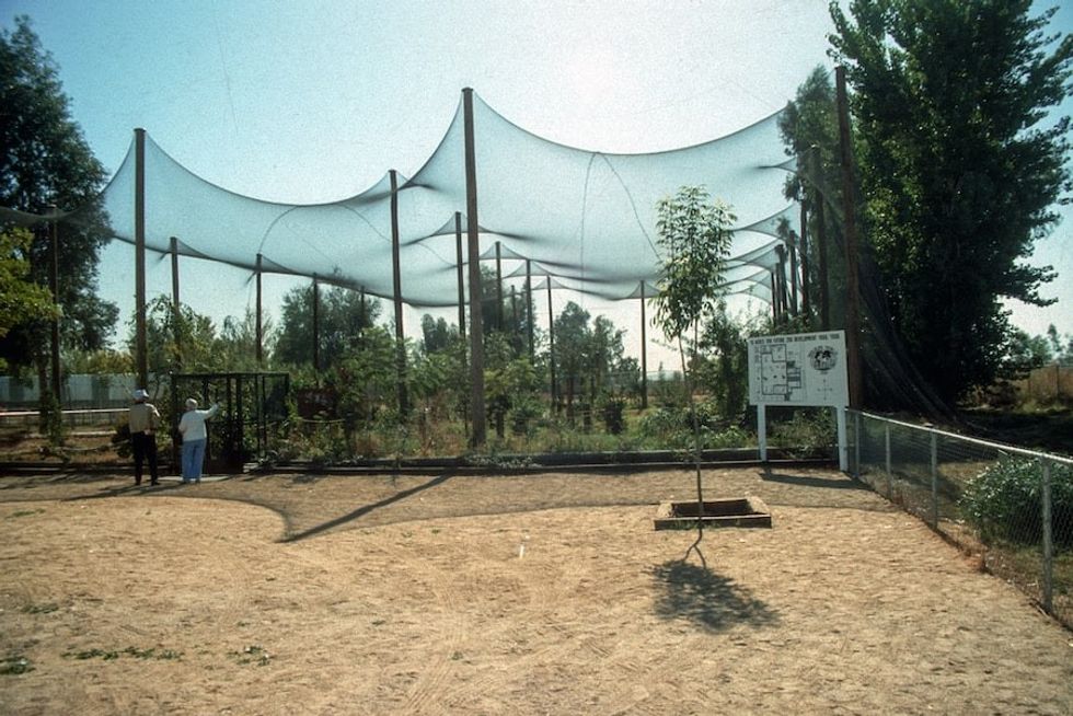 early days at Wildlife World Zoo