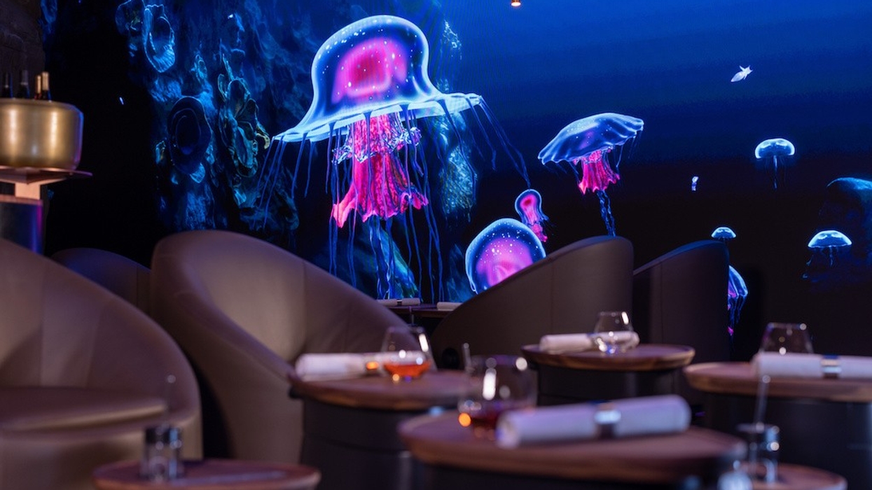 Eatrenalin Jellyfish