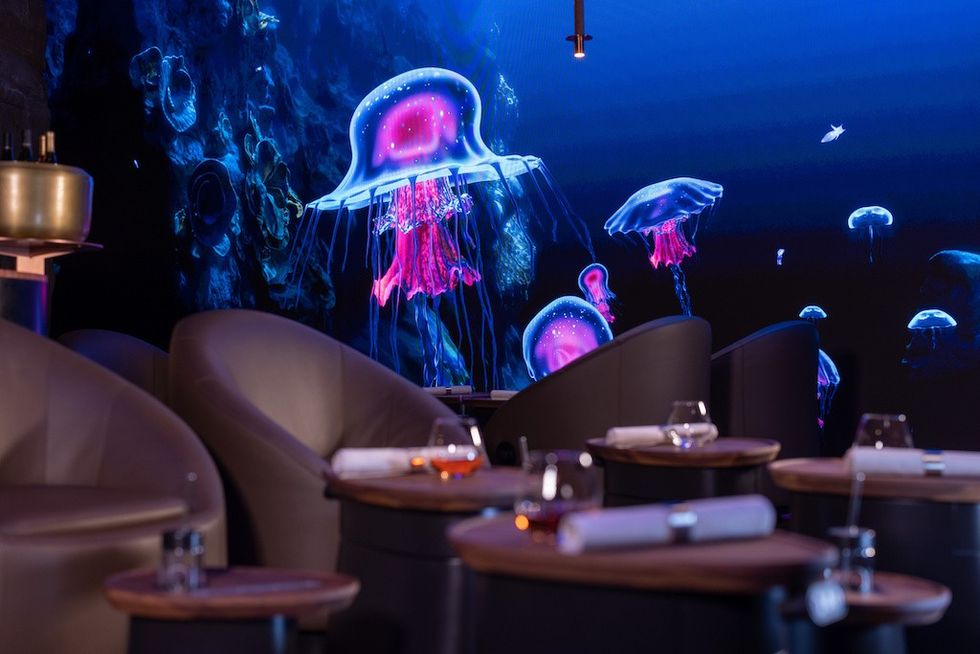 Eatrenalin Jellyfish