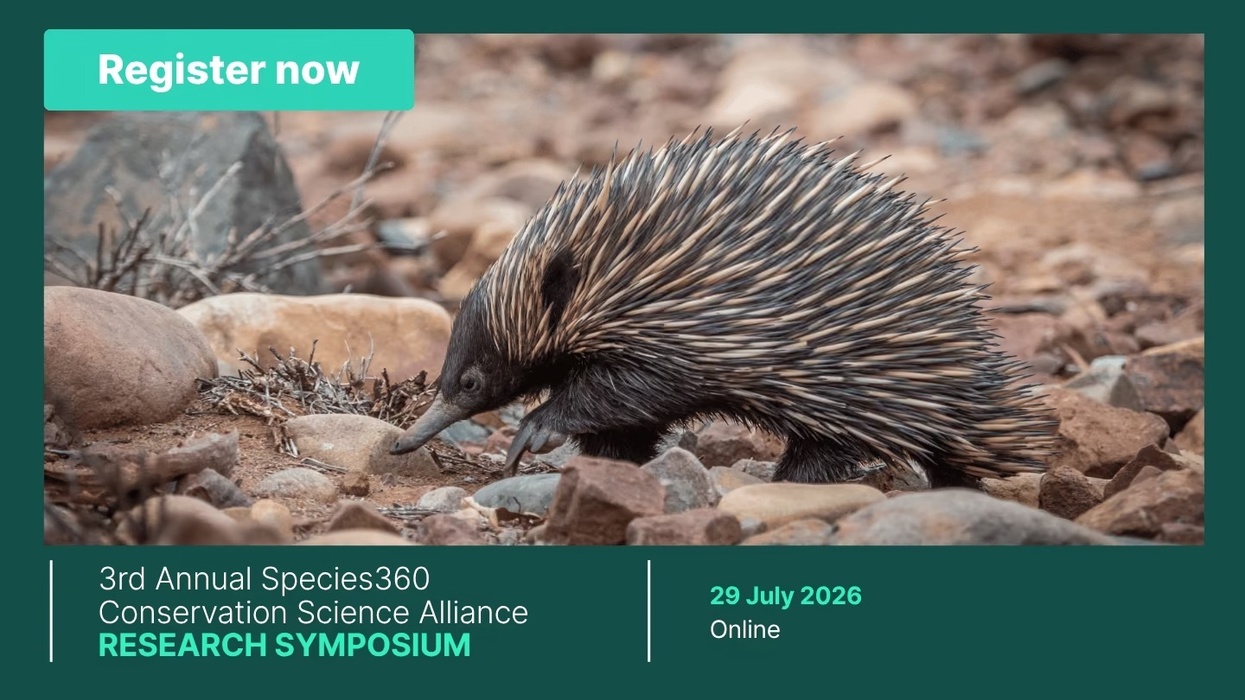 Echidna walking on rocky ground; Species360 Symposium, July 29, 2026, online.
