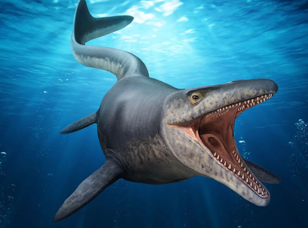 edelman fossil park and museum