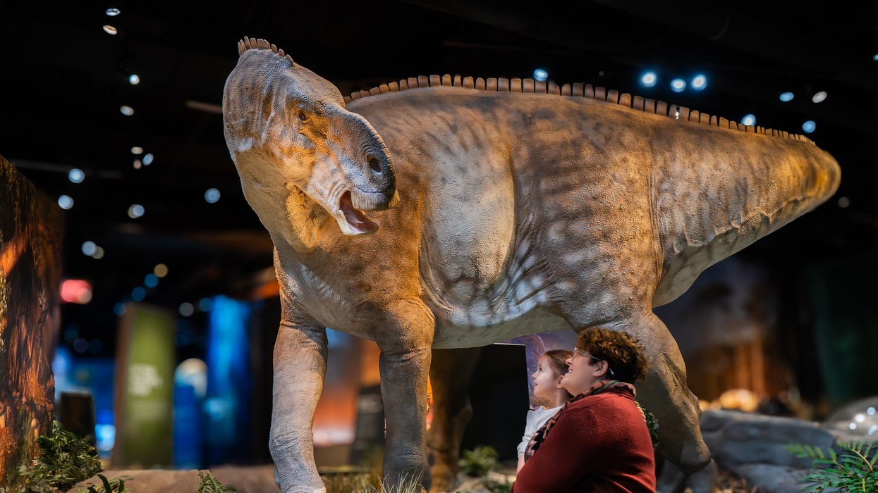 edelman fossil park and museum