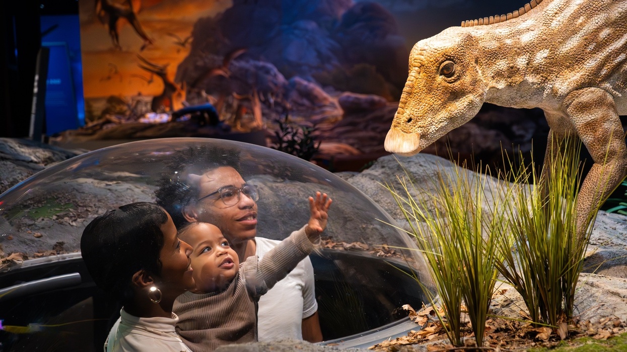 edelman fossil park and museum