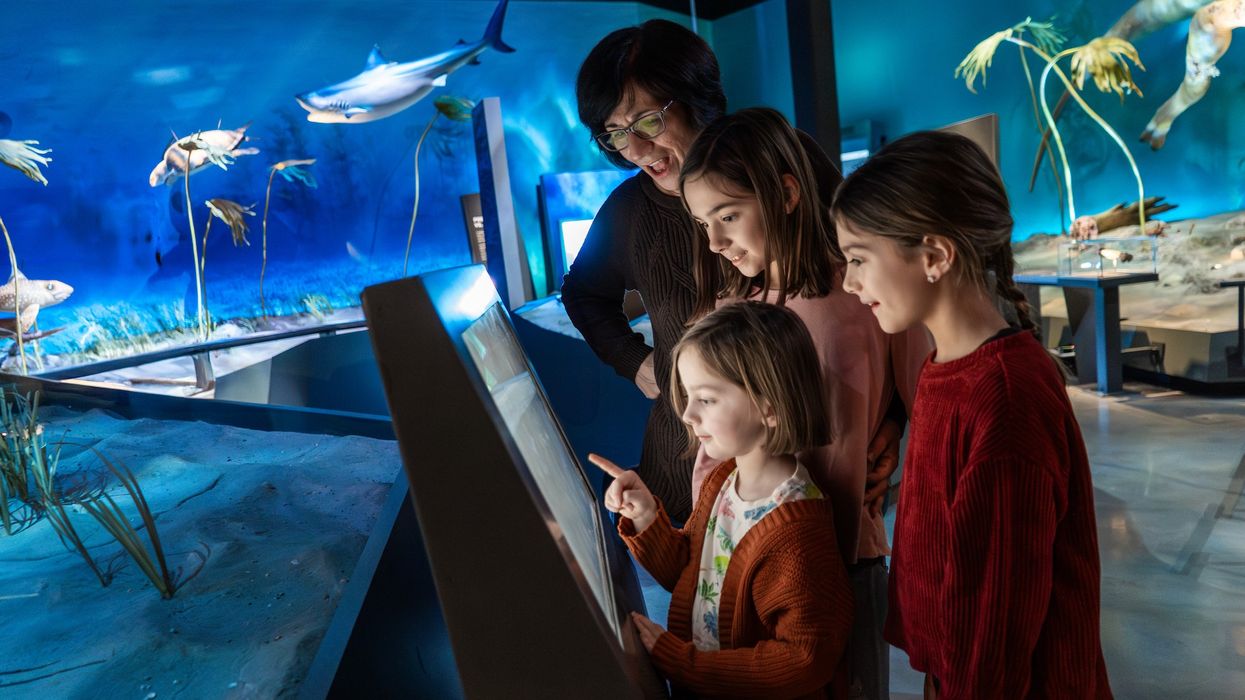 Edelman Fossil Park & Museum of Rowan University