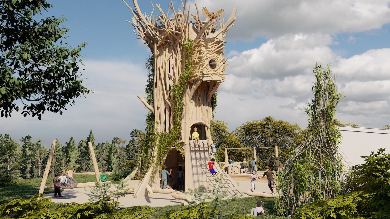 eden project adventure play area