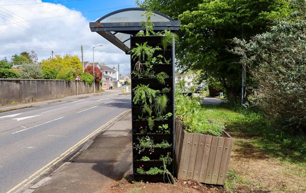 eden project buzz stop sustainability trends 2024