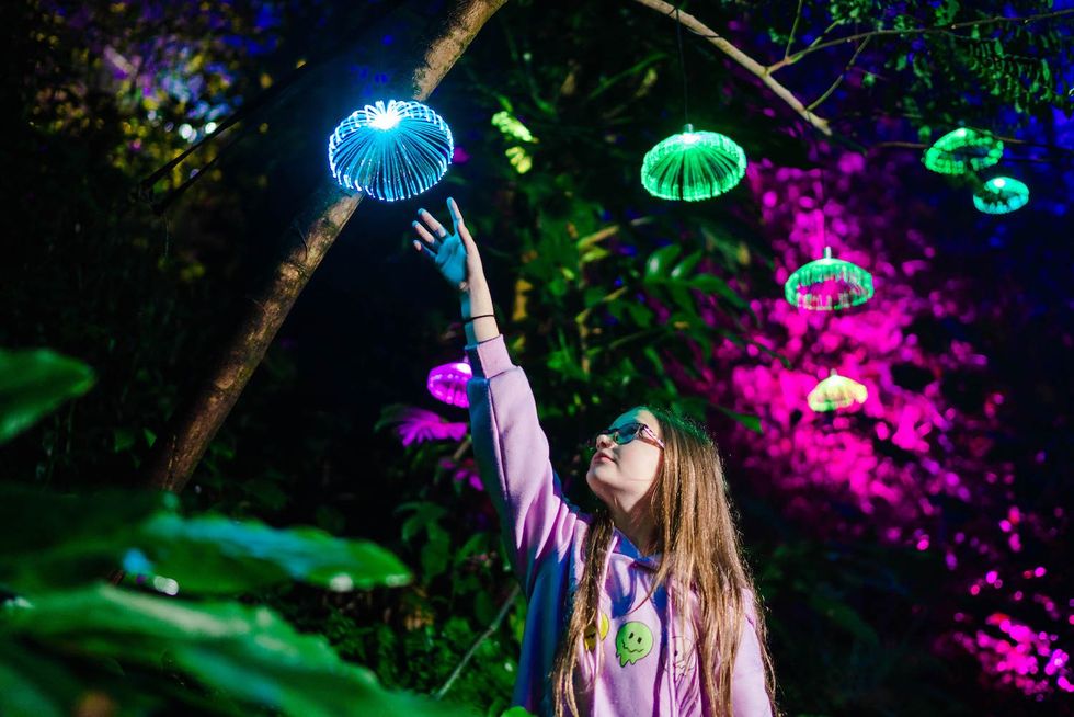 eden project christmas