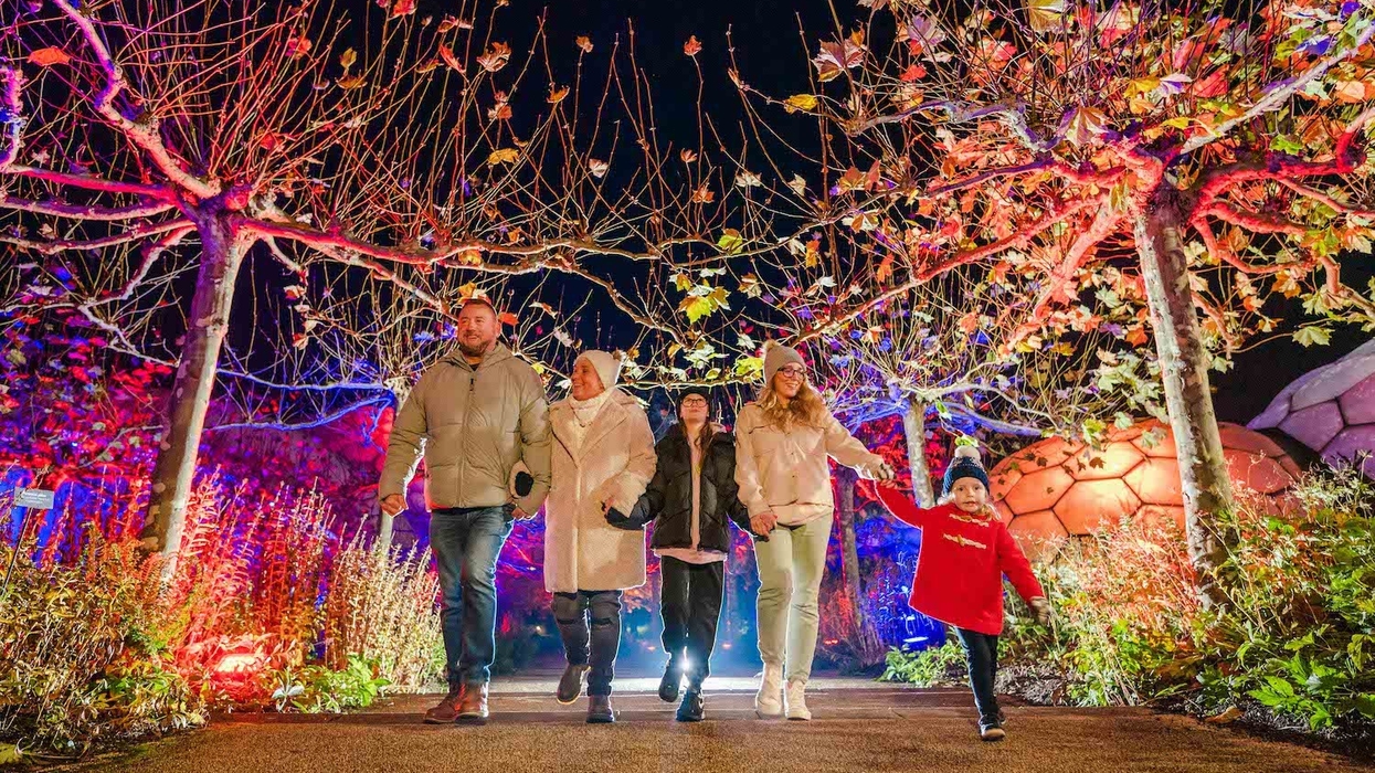 eden project christmas