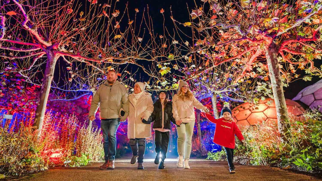eden project christmas