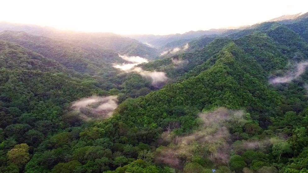 eden project costa rica