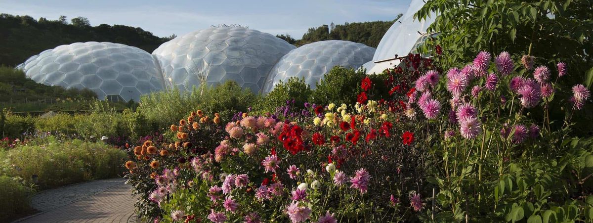 eden project gardens
