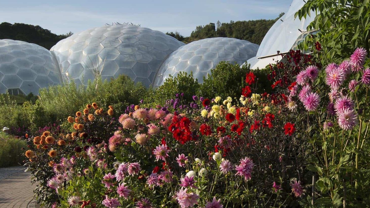 eden project gardens