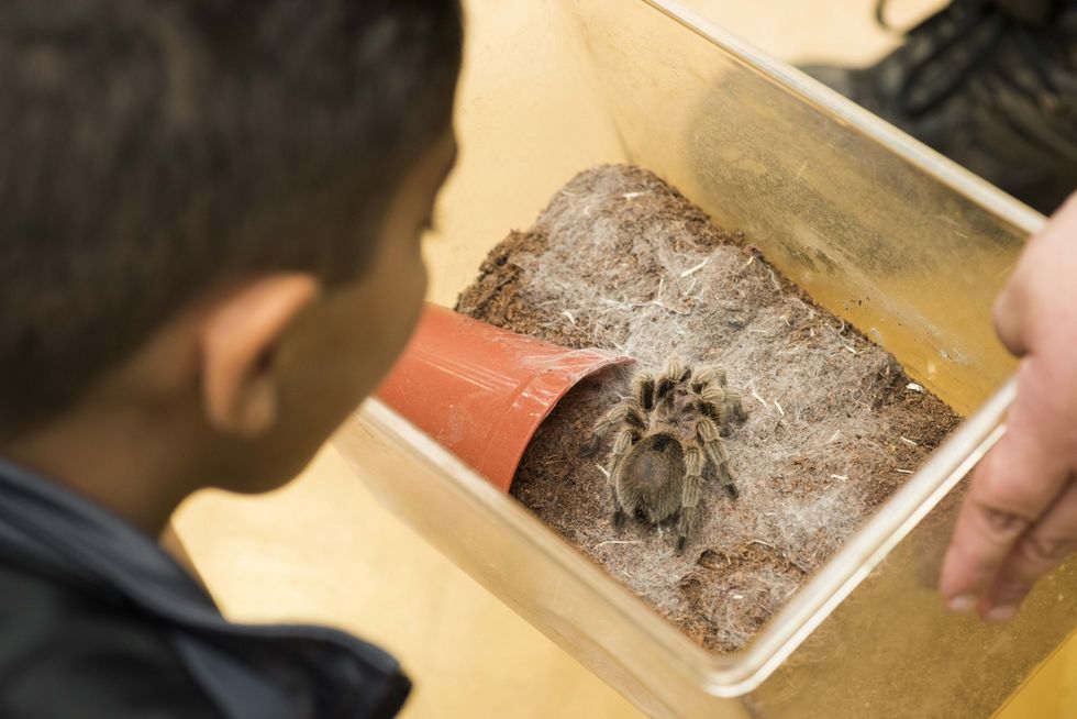 eden project halloween