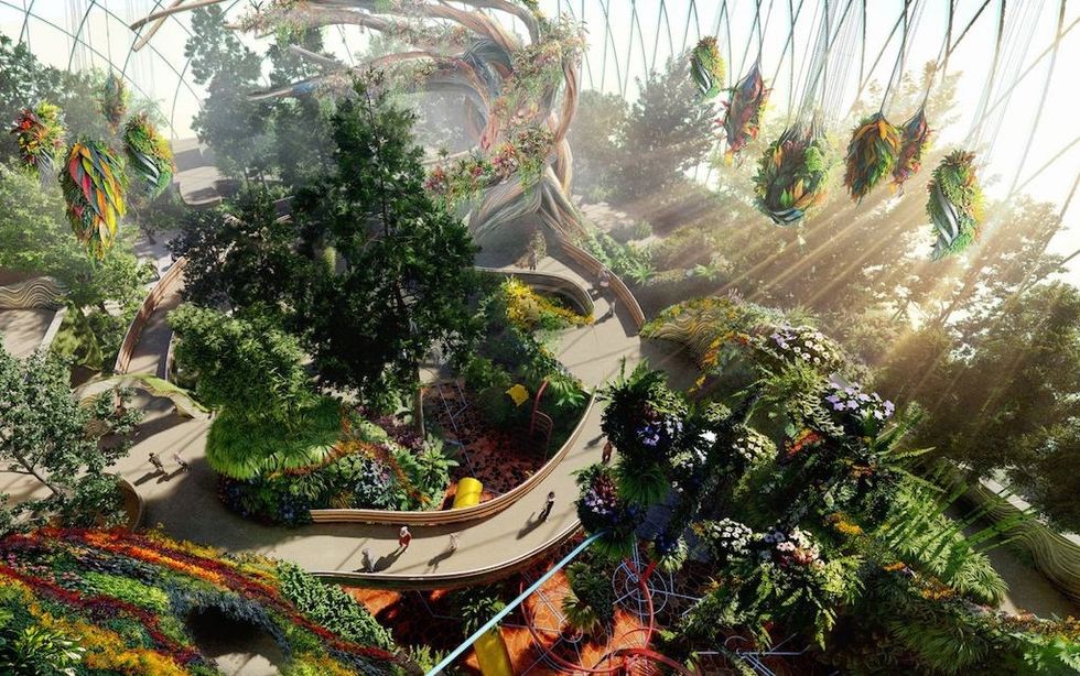 Eden Project Morecambe design Elder Tree