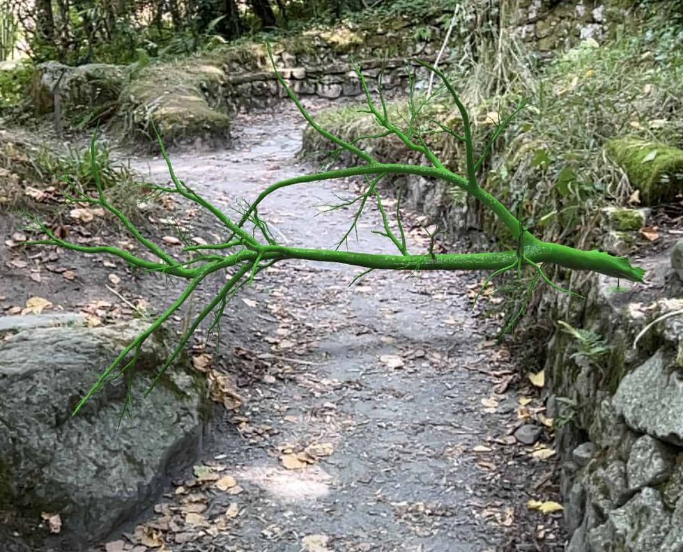 eden project seeing the invisible