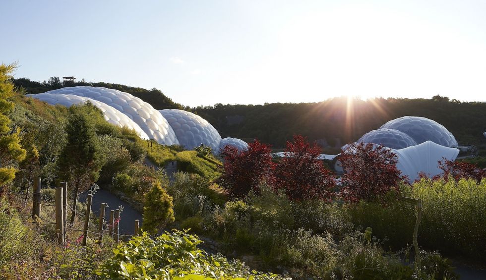 eden project sustainability trends 2025