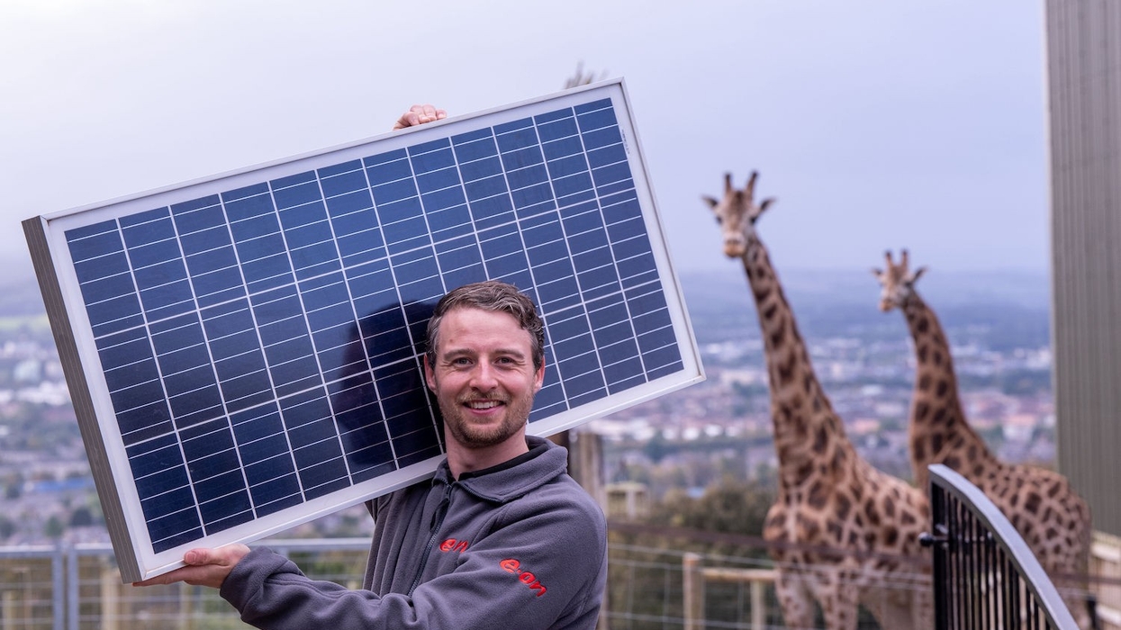 edinburgh zoo solar meadow