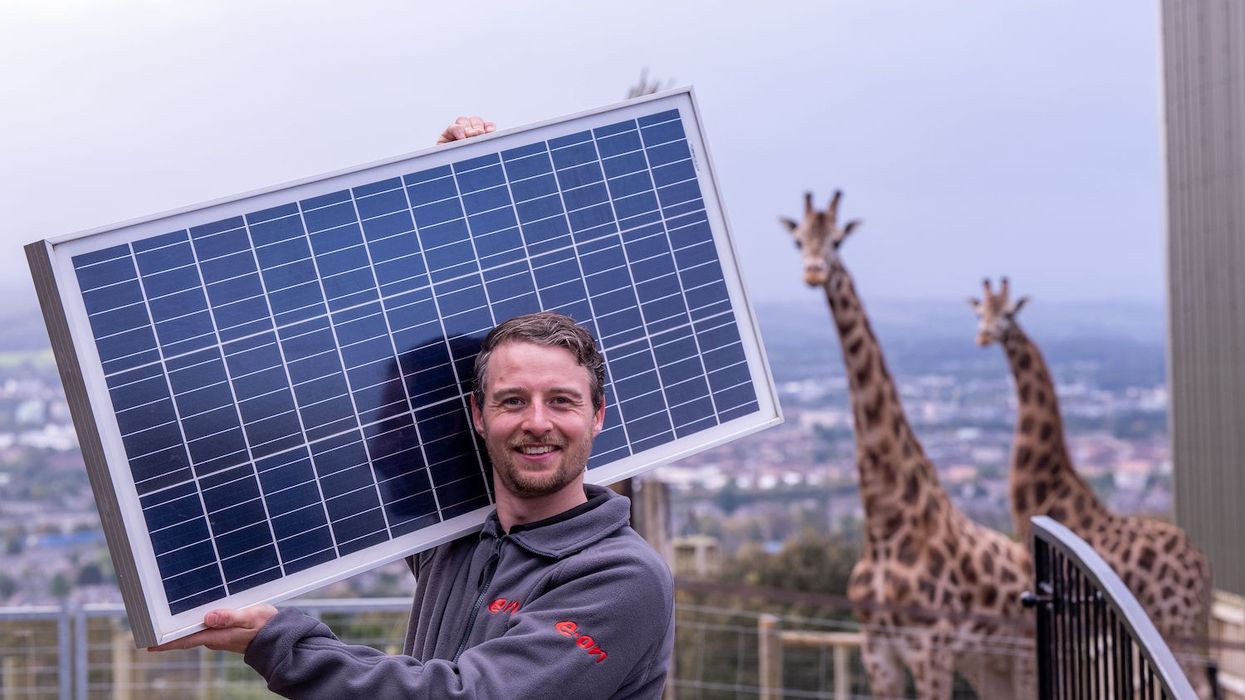 edinburgh zoo solar meadow
