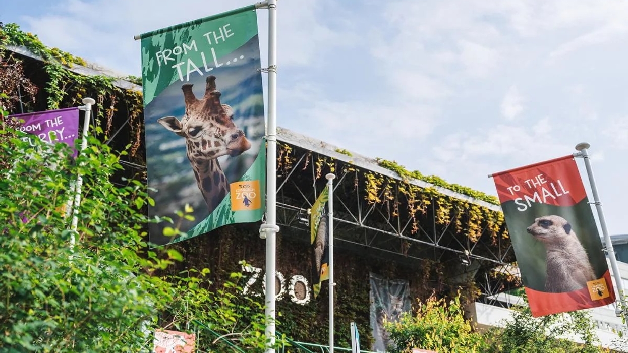 edinburgh zoo