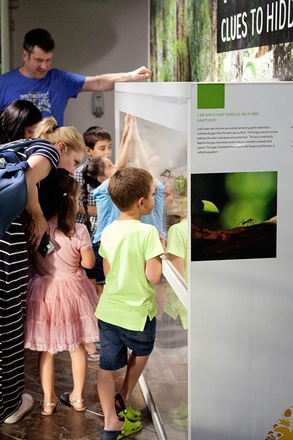 education at the green planet