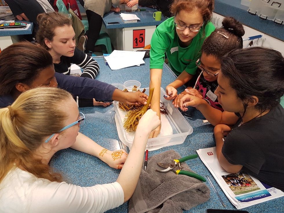 education at two oceans aquarium