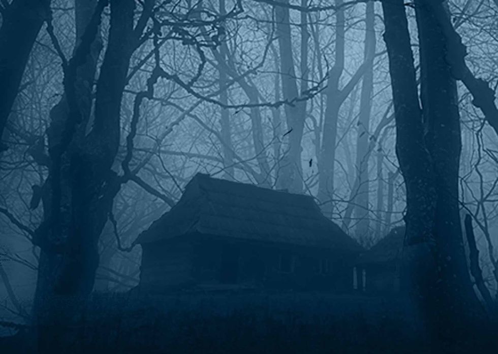 Eerie cabin in a foggy, shadowed forest with bare winter trees.