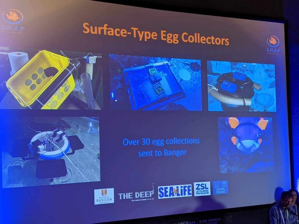 egg collecting units at International aquarium congress 2022
